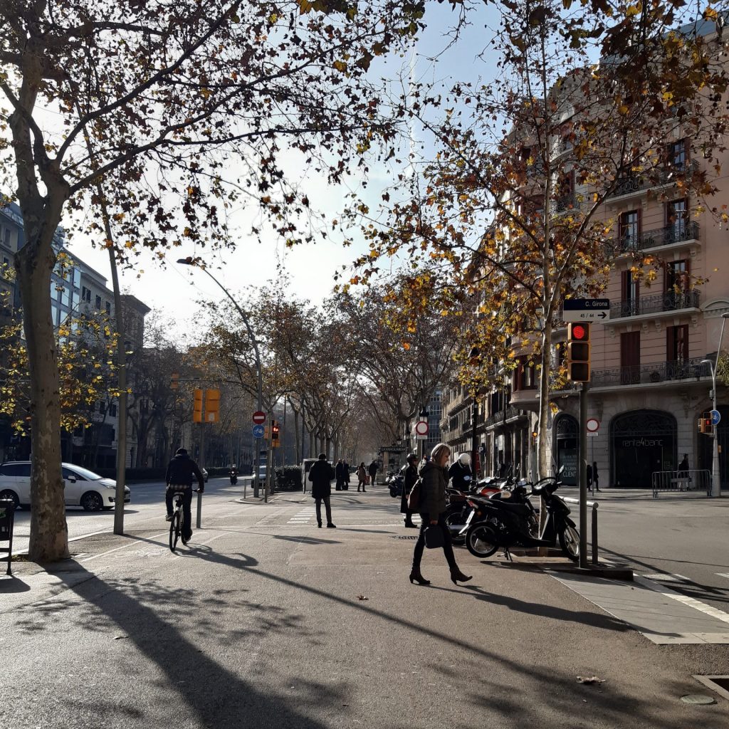 Pessoas Caminhando Em Avenida De Barcelona, Avenida Larga Com Pedestres E Ciclistas