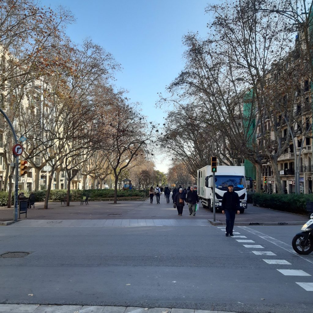 Avenidas Largas Para Pedestres E Ciclistas.