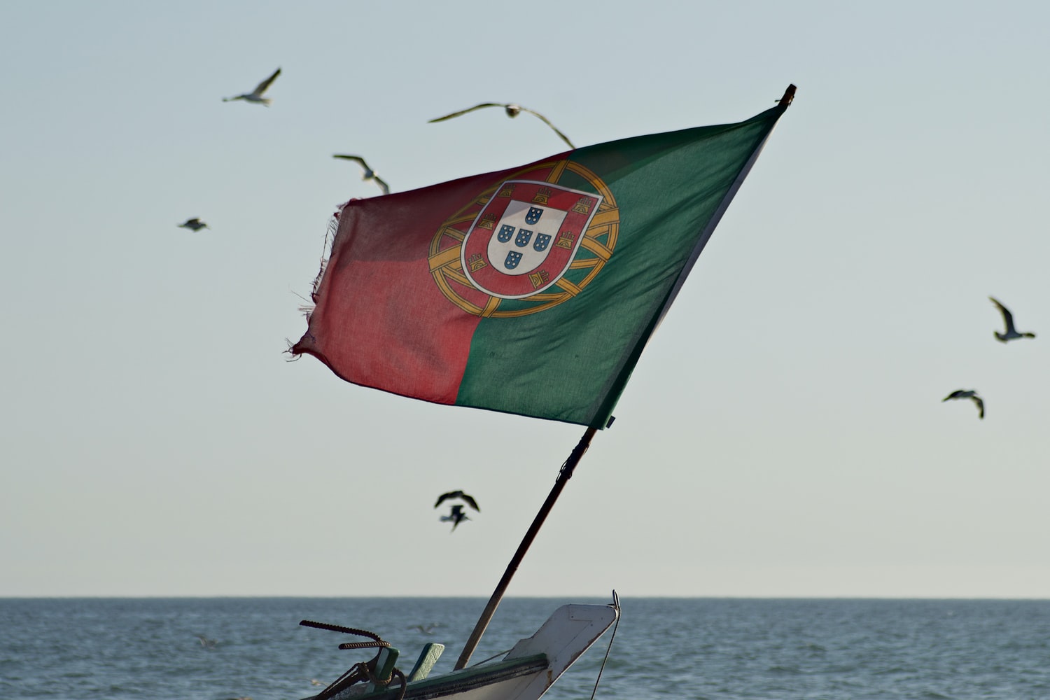 O Ecossistemas De Startups Em Portugal
