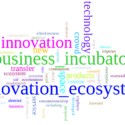 Como As Incubadoras De Empresas Se Relacionam Com O Ecossistema De Inovação?
